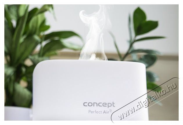 Concept DF2011 Perfect Air Dark Wood Sz&eacute;ps&eacute;g&aacute;pol&aacute;s / Eg&eacute;szs&eacute;g - L&eacute;gtiszt&iacute;t&oacute; / p&aacute;r&aacute;s&iacute;t&oacute; / p&aacute;r&aacute;tlan&iacute;t&oacute; - P&aacute;r&aacute;s&iacute;t&oacute; - 523306