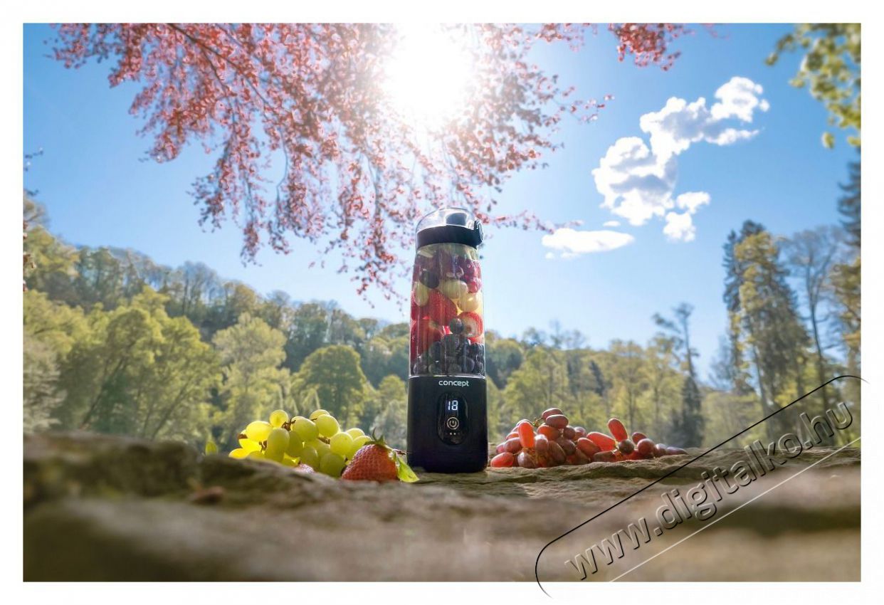 Concept SM4001 Smoothie FitMaker, fekete Konyhai kisg&eacute;p (elők&eacute;sz&iacute;t&eacute;s / feldolgoz&aacute;s) Konyhai term&eacute;kek - Konyhai kisg&eacute;p (elők&eacute;sz&iacute;t&eacute;s / feldolgoz&aacute;s) - Turmixg&eacute;p - 523307