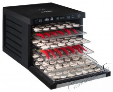 Concept SO3000 PROFI 1000 W Konyhai term&eacute;kek - Konyhai kisg&eacute;p (s&uuml;t&eacute;s / főz&eacute;s / hűt&eacute;s / &eacute;telk&eacute;sz&iacute;t&eacute;s) - Gy&uuml;m&ouml;lcsaszal&oacute; - 523347