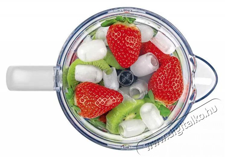 Concept sm3391 Konyhai term&eacute;kek - Konyhai kisg&eacute;p (elők&eacute;sz&iacute;t&eacute;s / feldolgoz&aacute;s) - Turmixg&eacute;p - 523283