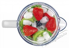 Concept sm3391 Konyhai term&eacute;kek - Konyhai kisg&eacute;p (elők&eacute;sz&iacute;t&eacute;s / feldolgoz&aacute;s) - Turmixg&eacute;p - 523283