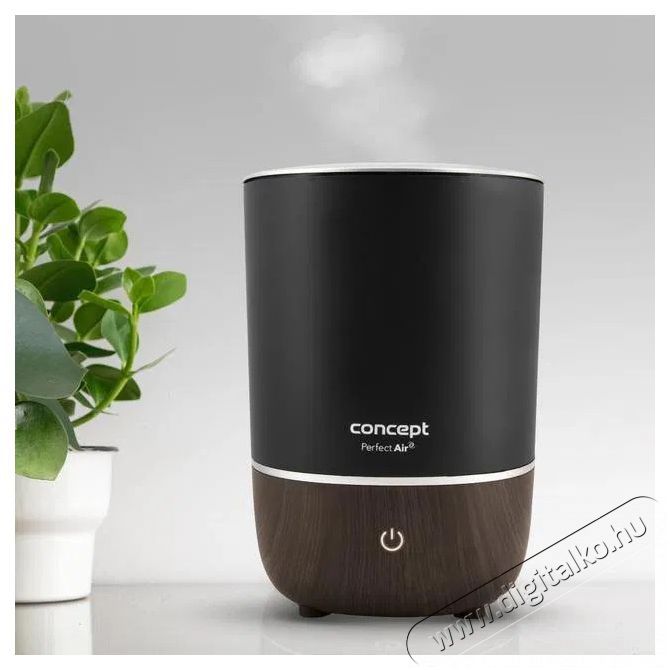 Concept ZV1210 Perfect Air fekete Sz&eacute;ps&eacute;g&aacute;pol&aacute;s / Eg&eacute;szs&eacute;g - L&eacute;gtiszt&iacute;t&oacute; / p&aacute;r&aacute;s&iacute;t&oacute; / p&aacute;r&aacute;tlan&iacute;t&oacute; - P&aacute;r&aacute;s&iacute;t&oacute; - 523289