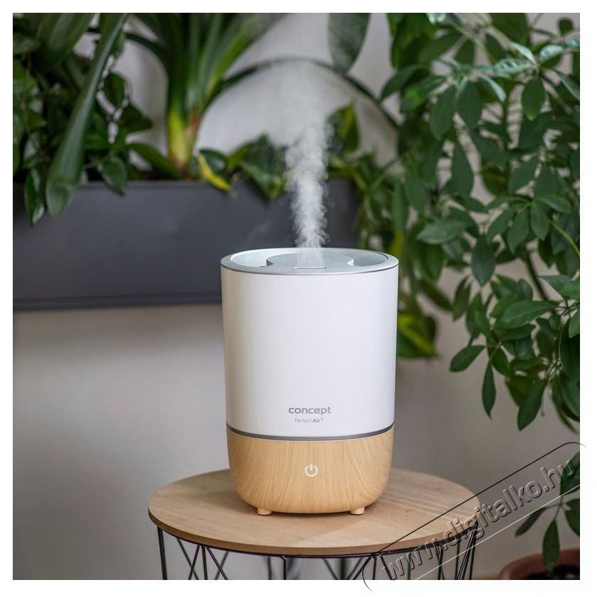 Concept ZV1200 Perfect Air feh&eacute;r P&aacute;r&aacute;s&iacute;t&oacute; Sz&eacute;ps&eacute;g&aacute;pol&aacute;s / Eg&eacute;szs&eacute;g - L&eacute;gtiszt&iacute;t&oacute; / p&aacute;r&aacute;s&iacute;t&oacute; / p&aacute;r&aacute;tlan&iacute;t&oacute; - P&aacute;r&aacute;s&iacute;t&oacute; - 524559