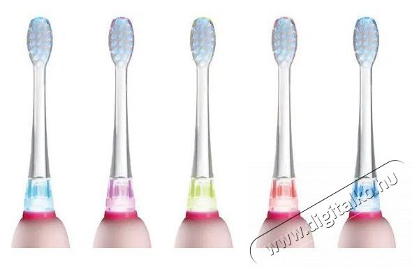 Concept ZK3010 Elektromos fogkefe Sz&eacute;ps&eacute;g&aacute;pol&aacute;s / Eg&eacute;szs&eacute;g - Sz&aacute;j / fog &aacute;pol&aacute;s - Elektromos fogkefe - 528563