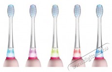 Concept ZK3010 Elektromos fogkefe Sz&eacute;ps&eacute;g&aacute;pol&aacute;s / Eg&eacute;szs&eacute;g - Sz&aacute;j / fog &aacute;pol&aacute;s - Elektromos fogkefe - 528563