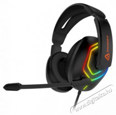  CHP-4600-BK BIOHAZARD Audio-Video / Hifi / Multim&eacute;dia - F&uuml;l &eacute;s Fejhallgat&oacute;k - Fejhallgat&oacute; mikrofonnal / headset - 518640