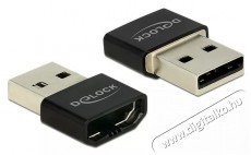 Delock 65680 HDMI-A anya > USB-A apa fekete adapter Tv kiegészítők - Kábel / csatlakozó - Hdmi kábel - 387981