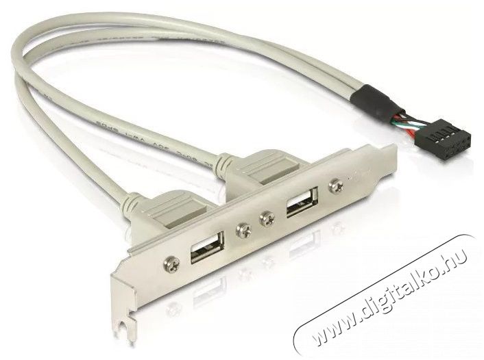 Delock 71000 Slot konzol 1x belső USB 9tűs > 2x USB2.0 k&uuml;lső Iroda &eacute;s sz&aacute;m&iacute;t&aacute;stechnika - Sz&aacute;m&iacute;t&oacute;g&eacute;p tartoz&eacute;k - USB k&aacute;bel - 387690