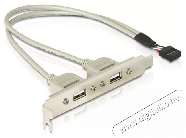 Delock 71000 Slot konzol 1x belső USB 9tűs > 2x USB2.0 k&uuml;lső Iroda &eacute;s sz&aacute;m&iacute;t&aacute;stechnika - Sz&aacute;m&iacute;t&oacute;g&eacute;p tartoz&eacute;k - USB k&aacute;bel - 387690