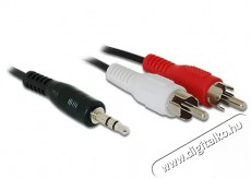 Delock 84000 jack 3,5mm apa > 2xRCA apa 1,5m kábel Tv kiegészítők - Kábel / csatlakozó - Jack-RCA kábel - 398284
