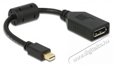 Delock 65554 mini Displayport apa > Displayport anya fekete adapter - Iroda &eacute;s sz&aacute;m&iacute;t&aacute;stechnika - Egy&eacute;b sz&aacute;m&iacute;t&aacute;stechnikai term&eacute;k - 387861