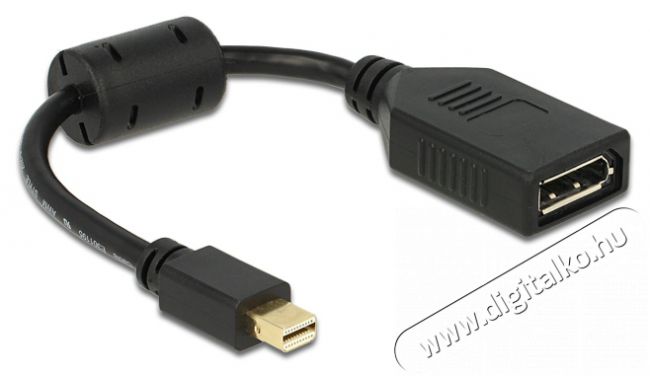 Delock 65554 mini Displayport apa > Displayport anya fekete adapter Iroda &eacute;s sz&aacute;m&iacute;t&aacute;stechnika - Egy&eacute;b sz&aacute;m&iacute;t&aacute;stechnikai term&eacute;k - 387861