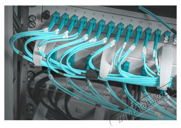 DIGITUS DN-97601-2 19 1U Műanyag gyűrűs sz&uuml;rke k&aacute;belrendező Iroda &eacute;s sz&aacute;m&iacute;t&aacute;stechnika - H&aacute;l&oacute;zat - H&aacute;l&oacute;zati kieg&eacute;sz&iacute;tő - 393194