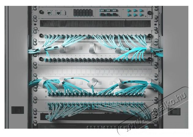 DIGITUS DN-97601-2 19 1U Műanyag gyűrűs sz&uuml;rke k&aacute;belrendező Iroda &eacute;s sz&aacute;m&iacute;t&aacute;stechnika - H&aacute;l&oacute;zat - H&aacute;l&oacute;zati kieg&eacute;sz&iacute;tő - 393194