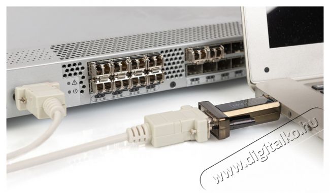 DIGITUS USB 2.0 Type A soros &aacute;talak&iacute;t&oacute; Tv kieg&eacute;sz&iacute;tők - K&aacute;bel / csatlakoz&oacute; - Csatlakoz&oacute; / eloszt&oacute; / &aacute;talak&iacute;t&oacute; - 393645