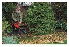 Einhell GE-CL 36/230 lombsz&iacute;v&oacute; H&aacute;ztart&aacute;s / Otthon / K&uuml;lt&eacute;r - K&uuml;lt&eacute;r / kerti term&eacute;k / grill - Lombsz&iacute;v&oacute; &eacute;s f&uacute;v&oacute; - 474278