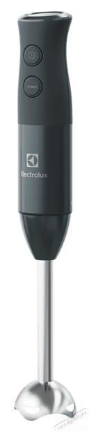 Electrolux E4HB1-6GG botmixer Konyhai term&eacute;kek - Konyhai kisg&eacute;p (elők&eacute;sz&iacute;t&eacute;s / feldolgoz&aacute;s) - Botmixer - 378319