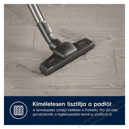 Electrolux EB61A5UG Animal 600 Porzs&aacute;kos porsz&iacute;v&oacute; H&aacute;ztart&aacute;s / Otthon / K&uuml;lt&eacute;r - Porsz&iacute;v&oacute; / takar&iacute;t&oacute;g&eacute;p - Porzs&aacute;kos porsz&iacute;v&oacute; - 500957