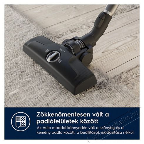 Electrolux EB61A5UG Animal 600 Porzs&aacute;kos porsz&iacute;v&oacute; H&aacute;ztart&aacute;s / Otthon / K&uuml;lt&eacute;r - Porsz&iacute;v&oacute; / takar&iacute;t&oacute;g&eacute;p - Porzs&aacute;kos porsz&iacute;v&oacute; - 500957