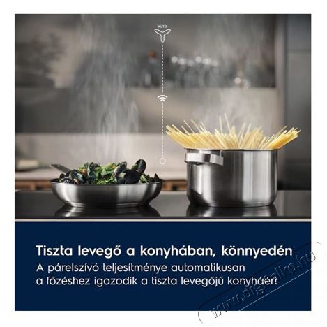 Electrolux EIS62453IZ FŐZŐLAP BE&Eacute;P&Iacute;THETŐ INDUKCI&Oacute;S Konyhai term&eacute;kek - S&uuml;tő-főzőlap, tűzhely (be&eacute;p&iacute;thető) - Indukci&oacute;s főzőlap (be&eacute;p&iacute;thető) - 503026