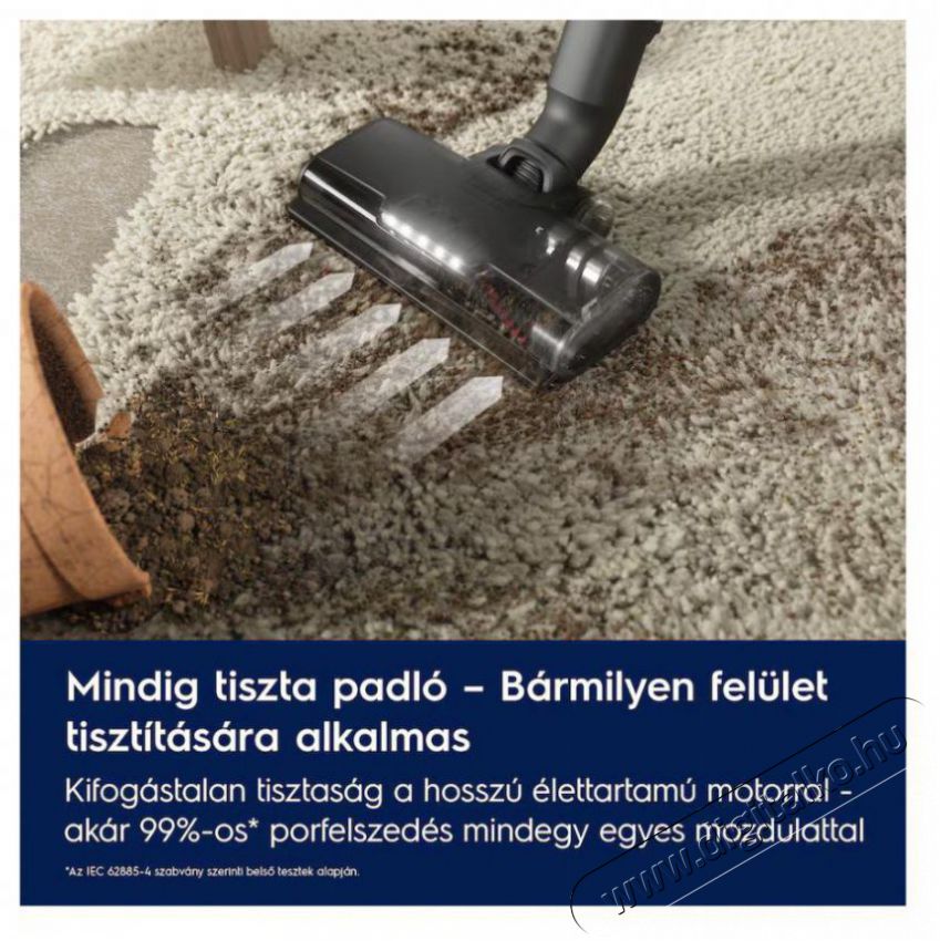 Electrolux 600 WET EP61H21WET H&aacute;ztart&aacute;s / Otthon / K&uuml;lt&eacute;r - Porsz&iacute;v&oacute; / takar&iacute;t&oacute;g&eacute;p - K&eacute;zi / &aacute;ll&oacute; porsz&iacute;v&oacute; - 503494