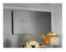 Electrolux LNT7ME32X3 Konyhai term&eacute;kek - Hűtő, fagyaszt&oacute; (szabadon&aacute;ll&oacute;) - Alulfagyaszt&oacute;s kombin&aacute;lt hűtő - 504401