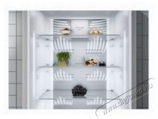 Electrolux LNT7ME32X3 Konyhai term&eacute;kek - Hűtő, fagyaszt&oacute; (szabadon&aacute;ll&oacute;) - Alulfagyaszt&oacute;s kombin&aacute;lt hűtő - 504401