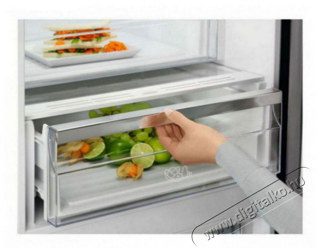 Electrolux LNT7ME32X3 Konyhai term&eacute;kek - Hűtő, fagyaszt&oacute; (szabadon&aacute;ll&oacute;) - Alulfagyaszt&oacute;s kombin&aacute;lt hűtő - 504401
