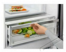 Electrolux LNT7ME32X3 Konyhai term&eacute;kek - Hűtő, fagyaszt&oacute; (szabadon&aacute;ll&oacute;) - Alulfagyaszt&oacute;s kombin&aacute;lt hűtő - 504401