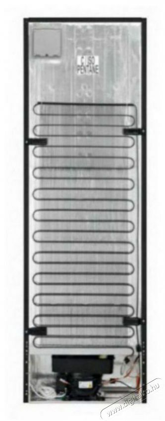 Electrolux LNT7ME32X3 Konyhai term&eacute;kek - Hűtő, fagyaszt&oacute; (szabadon&aacute;ll&oacute;) - Alulfagyaszt&oacute;s kombin&aacute;lt hűtő - 504401