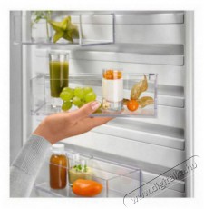 Electrolux LNT7ME32X3 Konyhai term&eacute;kek - Hűtő, fagyaszt&oacute; (szabadon&aacute;ll&oacute;) - Alulfagyaszt&oacute;s kombin&aacute;lt hűtő - 504401