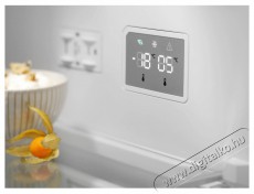 Electrolux LNT7ME36G2 800 Cooling 360 Konyhai term&eacute;kek - Hűtő, fagyaszt&oacute; (szabadon&aacute;ll&oacute;) - Alulfagyaszt&oacute;s kombin&aacute;lt hűtő - 504402