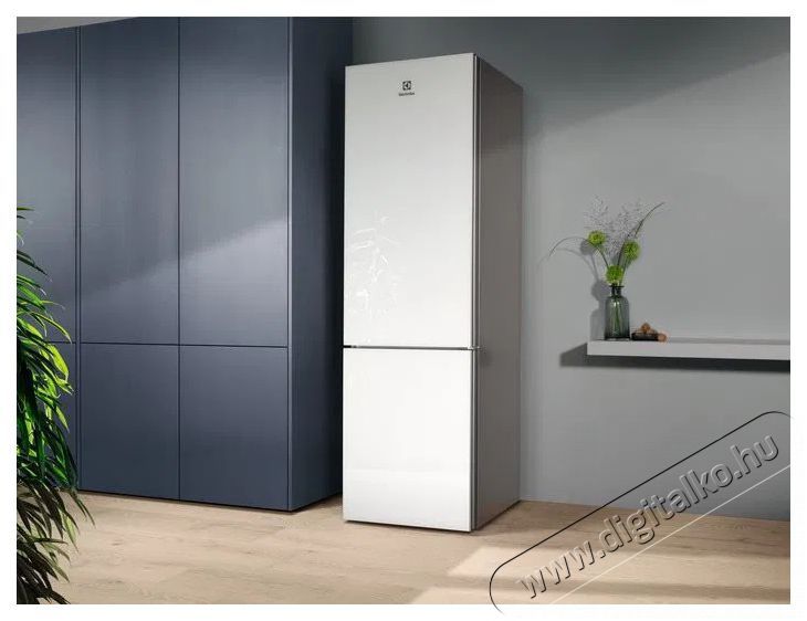 Electrolux LNT7ME36G2 800 Cooling 360 Konyhai term&eacute;kek - Hűtő, fagyaszt&oacute; (szabadon&aacute;ll&oacute;) - Alulfagyaszt&oacute;s kombin&aacute;lt hűtő - 504402