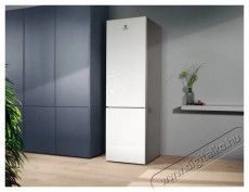 Electrolux LNT7ME36G2 800 Cooling 360 Konyhai term&eacute;kek - Hűtő, fagyaszt&oacute; (szabadon&aacute;ll&oacute;) - Alulfagyaszt&oacute;s kombin&aacute;lt hűtő - 504402