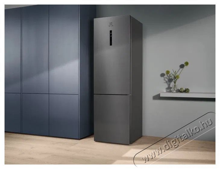 Electrolux LNT7ME36X3 800 Cooling 360 Konyhai term&eacute;kek - Hűtő, fagyaszt&oacute; (szabadon&aacute;ll&oacute;) - Alulfagyaszt&oacute;s kombin&aacute;lt hűtő - 504403