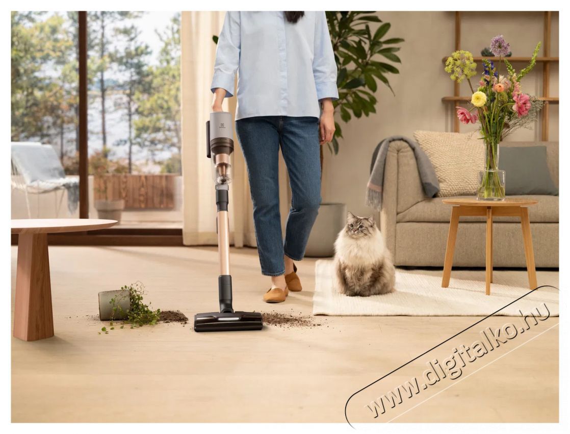 Electrolux 800 Animal EP82AB25UG H&aacute;ztart&aacute;s / Otthon / K&uuml;lt&eacute;r - Porsz&iacute;v&oacute; / takar&iacute;t&oacute;g&eacute;p - K&eacute;zi / &aacute;ll&oacute; porsz&iacute;v&oacute; - 503527