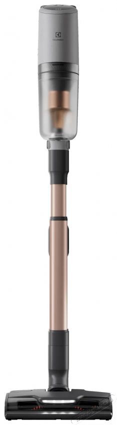 Electrolux 800 Animal EP82AB25UG H&aacute;ztart&aacute;s / Otthon / K&uuml;lt&eacute;r - Porsz&iacute;v&oacute; / takar&iacute;t&oacute;g&eacute;p - K&eacute;zi / &aacute;ll&oacute; porsz&iacute;v&oacute; - 503527