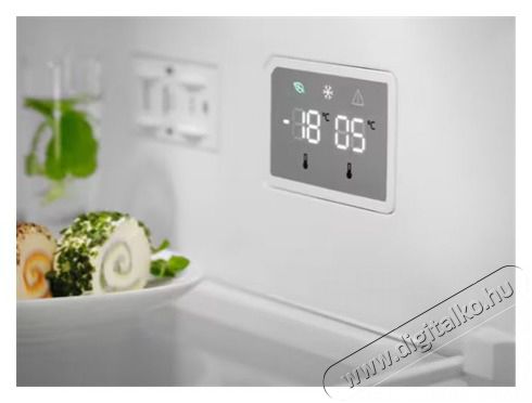 Electrolux LNT5ME36U1 HŰTŐ ALULFAGYASZT&Oacute;S NF Konyhai term&eacute;kek - Hűtő, fagyaszt&oacute; (szabadon&aacute;ll&oacute;) - Alulfagyaszt&oacute;s kombin&aacute;lt hűtő - 505361