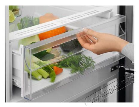 Electrolux LNT5ME36U1 HŰTŐ ALULFAGYASZT&Oacute;S NF Konyhai term&eacute;kek - Hűtő, fagyaszt&oacute; (szabadon&aacute;ll&oacute;) - Alulfagyaszt&oacute;s kombin&aacute;lt hűtő - 505361