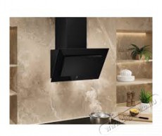 Electrolux 600 LFV326K Konyhai term&eacute;kek - P&aacute;raelsz&iacute;v&oacute; - K&uuml;rtős - 509729