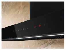 Electrolux 700 Breeze LFT816K Konyhai term&eacute;kek - P&aacute;raelsz&iacute;v&oacute; - K&uuml;rtős - 509710