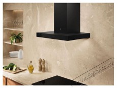 Electrolux 700 Breeze LFT816K Konyhai term&eacute;kek - P&aacute;raelsz&iacute;v&oacute; - K&uuml;rtős - 509710
