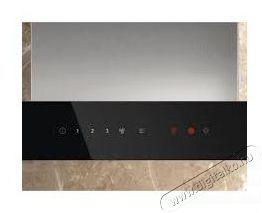 Electrolux 700 Breeze LFT829X Konyhai term&eacute;kek - P&aacute;raelsz&iacute;v&oacute; - K&uuml;rtős - 509731