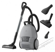 Electrolux 800 Animal EB81A3UG H&aacute;ztart&aacute;s / Otthon / K&uuml;lt&eacute;r - Porsz&iacute;v&oacute; / takar&iacute;t&oacute;g&eacute;p - Porzs&aacute;kos porsz&iacute;v&oacute; - 510979