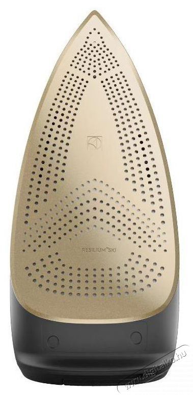 Electrolux Renew 800 Steam E8SI2-8OG H&aacute;ztart&aacute;s / Otthon / K&uuml;lt&eacute;r - Vasal&oacute; - Vasal&oacute; - 522513