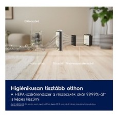 Electrolux 300 EL31C2OG H&aacute;ztart&aacute;s / Otthon / K&uuml;lt&eacute;r - Porsz&iacute;v&oacute; / takar&iacute;t&oacute;g&eacute;p - Porzs&aacute;k n&eacute;lk&uuml;li porsz&iacute;v&oacute; - 503502