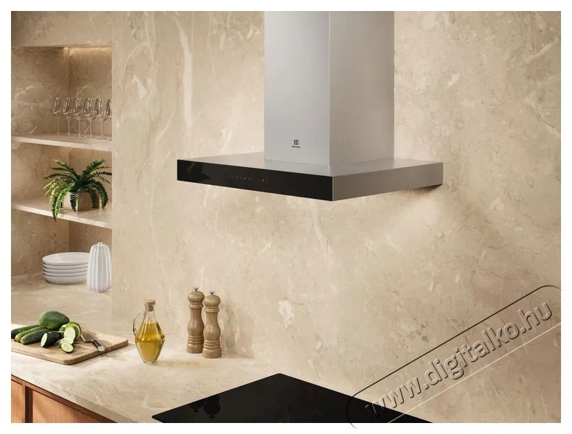 Electrolux LFT826X dekorat&iacute;v be&eacute;p&iacute;thető p&aacute;raelsz&iacute;v&oacute; Konyhai term&eacute;kek - P&aacute;raelsz&iacute;v&oacute; - Be&eacute;p&iacute;thető / kih&uacute;zhat&oacute; - 533314