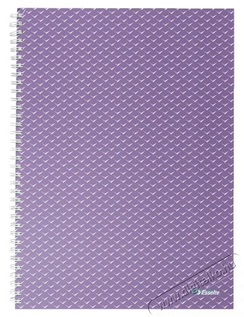 Esselte ColourBreeze A4 kock&aacute;s levendula spir&aacute;lf&uuml;zet Egy&eacute;b - Nem forgalmazzuk ! - 406976