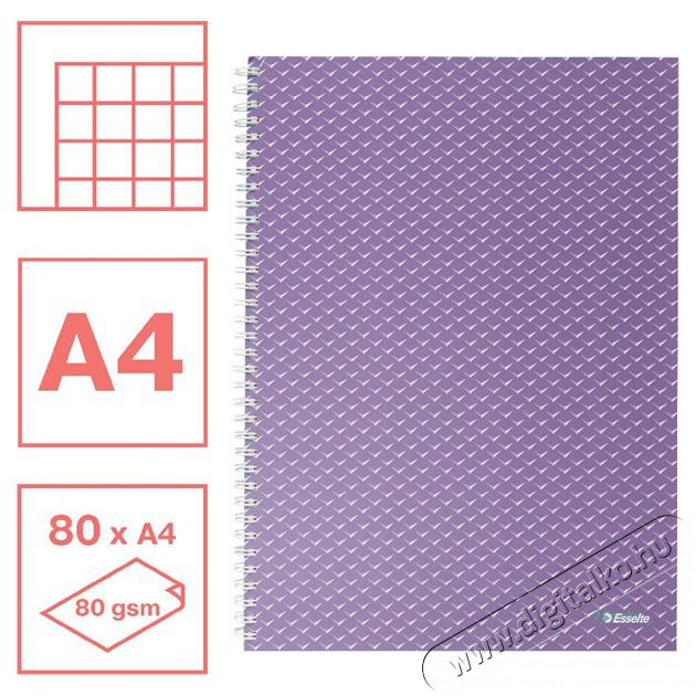Esselte ColourBreeze A4 kock&aacute;s levendula spir&aacute;lf&uuml;zet Egy&eacute;b - Nem forgalmazzuk ! - 406976