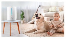 ETA Moisty 3629 90000 Sz&eacute;ps&eacute;g&aacute;pol&aacute;s / Eg&eacute;szs&eacute;g - L&eacute;gtiszt&iacute;t&oacute; / p&aacute;r&aacute;s&iacute;t&oacute; / p&aacute;r&aacute;tlan&iacute;t&oacute; - L&eacute;gtiszt&iacute;t&oacute; - 528648